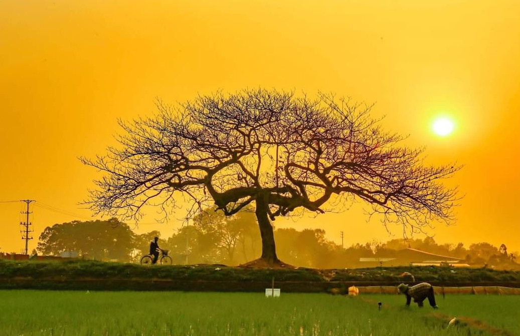 máy photocopy Phúc Thọ