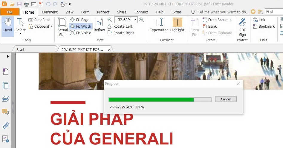 in file pdf không được