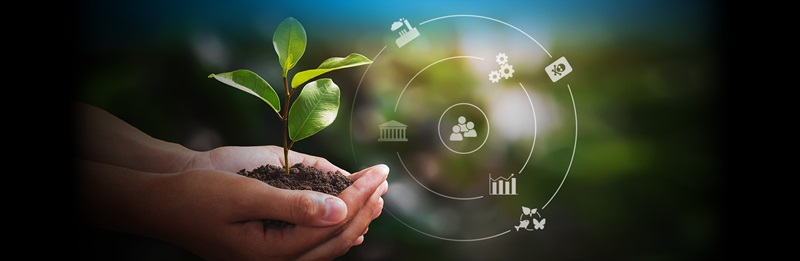 Giải pháp in xanh