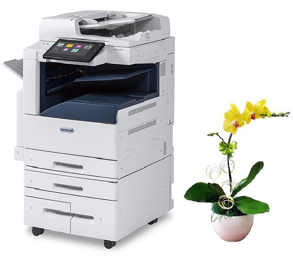 Máy photocopy màu Xerox AltaLink C8045/C8055